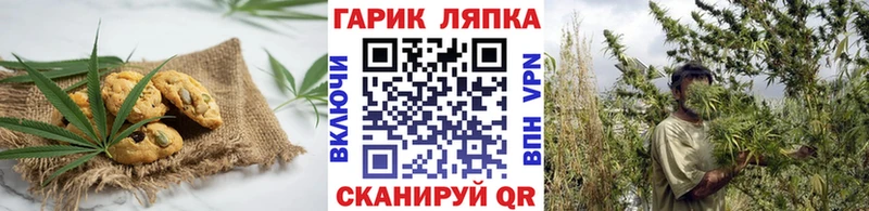 Canna-Cookies марихуана  mega зеркало  Козельск 
