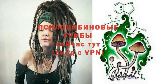 молекула духа Балабаново