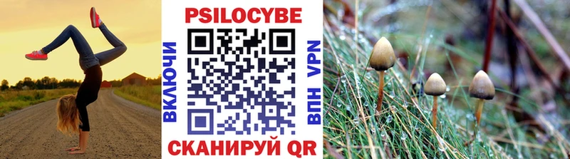 blacksprut ссылка  Козельск  Галлюциногенные грибы ЛСД 